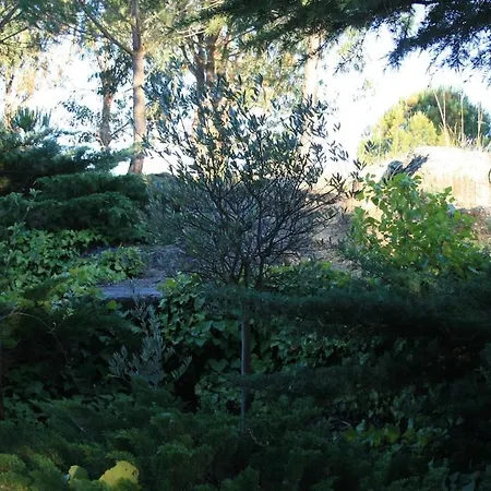Casa Do Campo - *