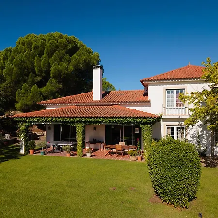 Casa Do Campo - * Castelo Branco (Centro)