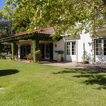 Casa Do Campo - * Castelo Branco (Centro)