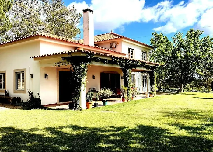 Casa Do Campo - Castelo Branco (Centro)